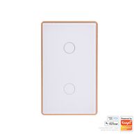 Wifi 2 Gang White with Gold Trim Wall Switch