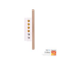 Wifi 2 Gang White with Gold Trim Wall Switch