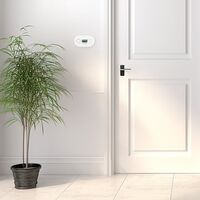 Brilliant White Carbon Monoxide Digital Display Alarm