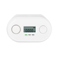 Brilliant White Carbon Monoxide Digital Display Alarm