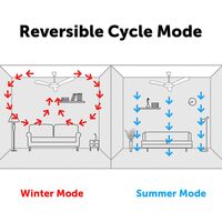 Brilliant Amari Black Smart Wi-Fi 52'' DC Ceiling Fan