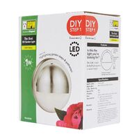 HPM ROSI G4 LED Wall / Step Light