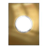 ARTEOR Round 2 Module Horizontal Coverplate Brushed Gold
