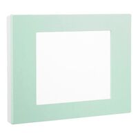 HPM VIVO Coverplate Mint