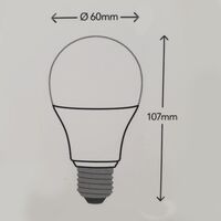 HPM A60 8W 945lm LED Edison Globe Warm White