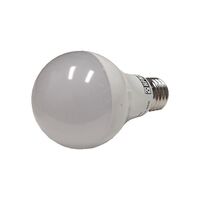 HPM A60 8W 1035lm LED Edison Globe Cool White