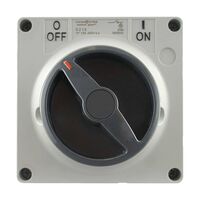 IP66 Surface Switch 2 Pole 250V 20A