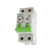 Circuit Breaker 2 Pole 6kA 20A