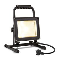 HPM FORTA 30W 2250lm LED Portable Worklight