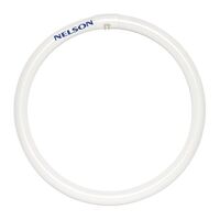 Nelson - Fluorescent T5 lamp Circular - 40W cool white 4000K 295mm