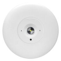 LED Satellite D50 complete with flex & plug - white finish with NiMh battery - DALI