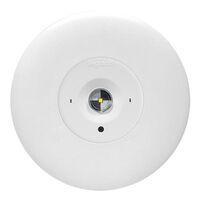 LED Satellite D63 complete with flex & plug - white finish with lithium battery