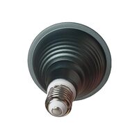 HPM PAR38 14W 1100lm LED Edison Globe Warm White