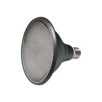 HPM PAR38 14W 1100lm LED Edison Globe Warm White