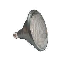 HPM PAR38 14W 1100lm LED Edison Globe Warm White