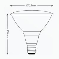 HPM PAR38 14W 1100lm LED Edison Globe Warm White