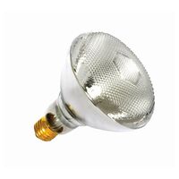 Nelson - Incandescent PAR38 Edison E27 - 120W