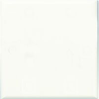 HPM Standard Square Blank Plate White