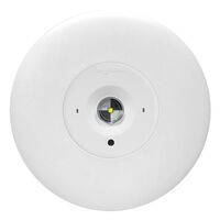 LED Satellite D50 complete with flex & plug - white finish with lithium battery - Axiom