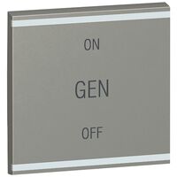 Arteor - MyHOME - Square key cover BUS/SCS - GEN/ON/OFF - 2 modules - magnesium