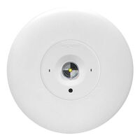 LED Satellite D50 complete with flex & plug - white finish with lithium battery