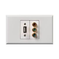 Excel - RGB & USB 2 gang gloss white