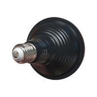 HPM PAR38 8W 800lm Cool White Globe Black