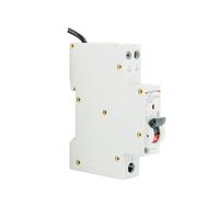 DX3 Single Pole RCBO 1P+N 16A 30MA C Curve with Flexible Neutral Tail 900mm