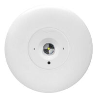 LED Satellite D63 complete with flex & plug - white finish with lithium battery - Axiom