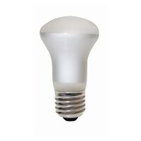 Nelson E27 60W Incandescent Mushroom Lamp