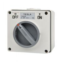 TSW210 - 2 Pole 10 AMP  250V - TSW210 - TSW210