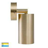 Tivah Solid Brass TRI Colour Single Adjustable Wall Pillar Lights