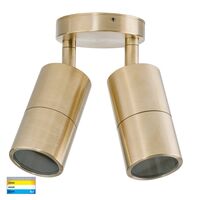 Tivah Solid Brass TRI Colour Double Adjustable Wall Pillar Lights