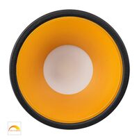 Gleam Black with Gold Insert Fixed Dim to Warm LED Downlight