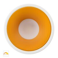 Gleam White with Gold Insert Fixed Dim to Warm LED Downlight