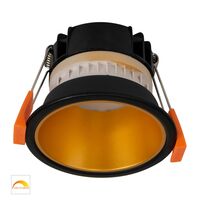 Gleam Black with Gold Insert Fixed Dim to Warm LED Downlight