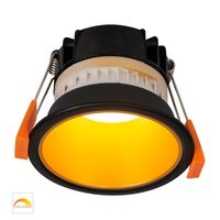Gleam Black with Gold Insert Fixed Dim to Warm LED Downlight