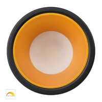 Gleam Black with Gold Insert Fixed Dim to Warm LED Downlight