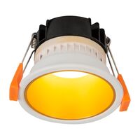 Gleam White with Gold Insert Fixed Dim to Warm LED Downlight