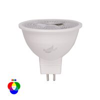 5w RGB LED Globe Complete with Remote