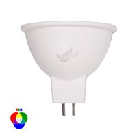 5w RGB LED Globe Complete with Remote