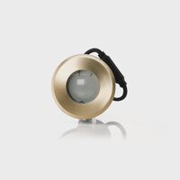 Ollo Brass TRI Colour LED Wall or Inground Light