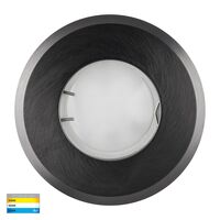 Ollo Graphite Coloured Brass TRI Colour LED Wall or Inground Light