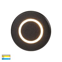 Brillo Black Aluminium LED Wall or Inground Light