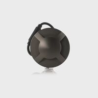 Viale Graphite Coloured Brass TRI Colour LED Four Way Driveway Light