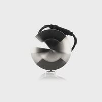 Viale 316 Stainless Steel TRI Colour LED Double Driveway Light