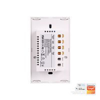 Wifi Two Gang White Wall Switch
