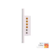 Wifi Two Gang White Wall Switch