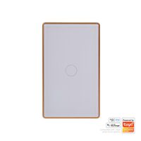 Wifi Single Gang White with Gold Trim Wall Switch