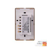 Wifi Single Gang White with Gold Trim Wall Switch